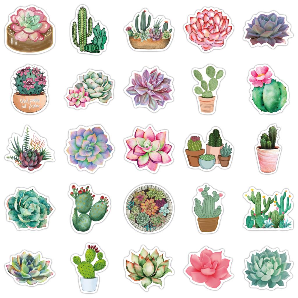 Pegatinas suculentas de 50 pie - Laptop Accessories Girly reseña y precio